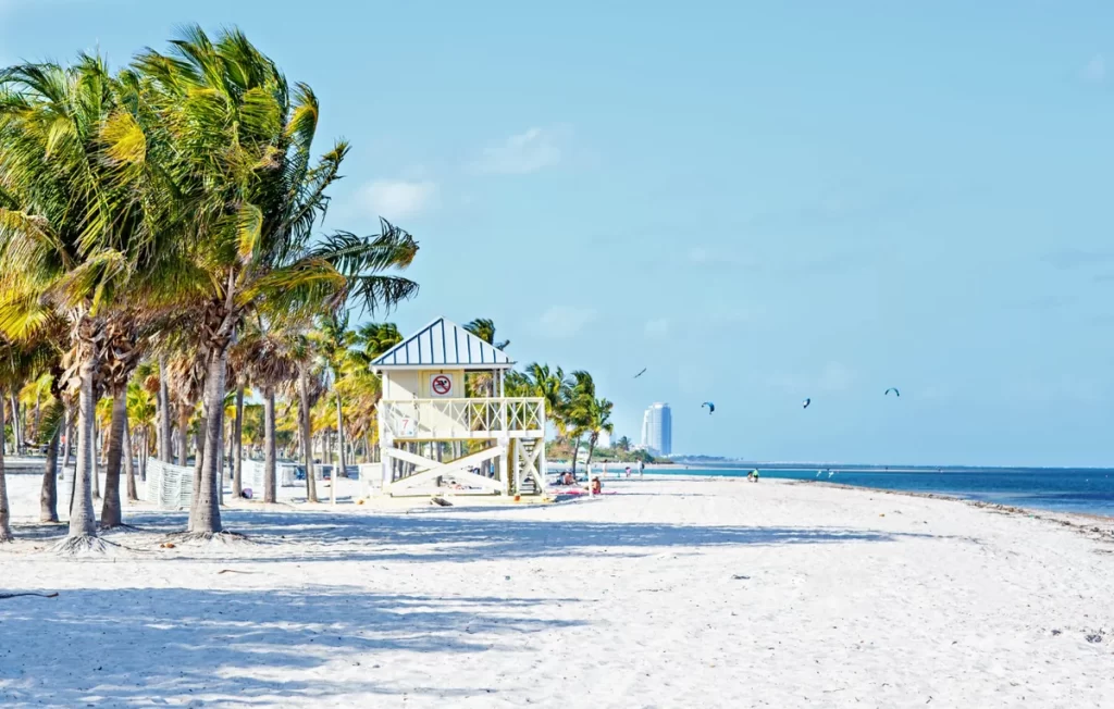Crandon Park Beach Miami, areia branca e coqueiros sob céu azul – uma das melhores praias de Key Biscayne.