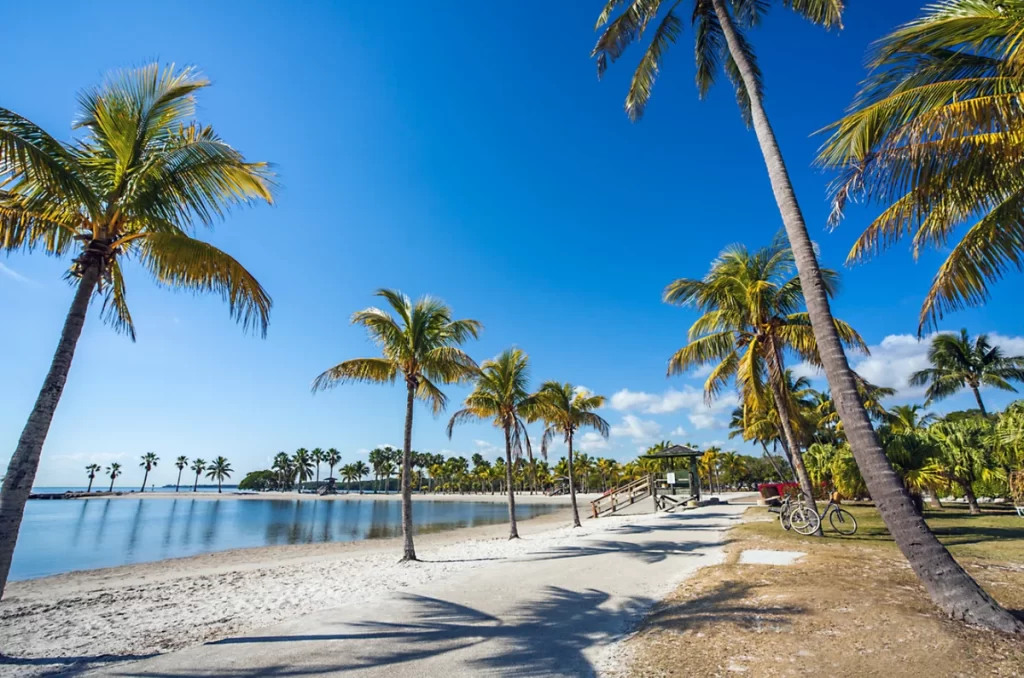 Matheson Hammock Park Beach Miami, lagoa calma e coqueiros à beira-mar – cenário perfeito para famílias e fotos.