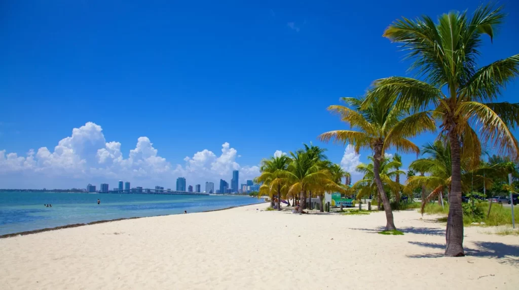 Virginia Key Beach Miami, natureza exuberante e vista para o horizonte da cidade – refúgio natural próximo ao centro.